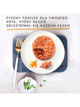 Purina Gourmet Gold Karma dla kotów Savoury Cake 48 x 85 g