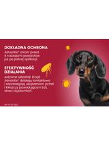 Advantix dla psów 4-10kg (pipeta 1ml)+ Cestal Dog Plus tabletki na odrobaczanie psów 2 sztuki
