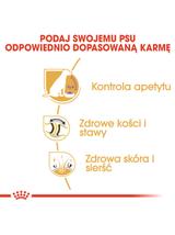 ROYAL CANIN Labrador Retriever Sterilised Adult 12kg karma sucha dla psów dorosłych, rasy labrador retriever, sterylizowanych