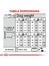 ROYAL CANIN CCN Mini Exigent karma sucha dla psów dorosłych, ras małych, wybrednych 3kg