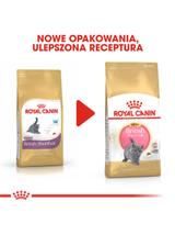 ROYAL CANIN British Shorthair Kitten 2kg karma sucha dla kociąt, do 12 miesiąca, rasy brytyjski krótkowłosy