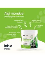 Lab-v Algi Morskie – naturalne źródło jodu i minerałów dla psów i kotów 250g