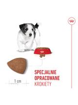 ROYAL CANIN Mini Puppy 2kg karma sucha dla szczeniąt, od 2 do 10 miesiąca życia, ras małych/Opakowanie uszkodzone (8970)