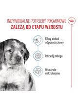 ROYAL CANIN Medium Puppy 15kg karma sucha dla szczeniąt, od 2 do 12 miesiąca, ras średnich