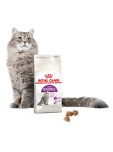 ROYAL CANIN  Sensible 33 10kg karma sucha dla kotów dorosłych, o wrażliwym przewodzie pokarmowym + niespodzianka dla kota GRATIS!
