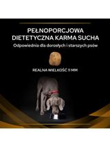PRO PLAN Veterinary Diets NF Renal Function Karma sucha dla psa 12kg