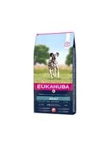 Eukanuba Adult Large Salmon&Barley 12kg / Opakowanie uszkodzone (7719,8240) !!!