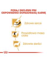ROYAL CANIN Cavalier King Charles Spaniel Adult 1,5kg karma sucha dla psów dorosłych rasy cavalier king charles spaniel