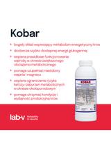Lab-v Kobar - Mieszanka Paszowa Uzupełniająco-dietetyczna Dla Krów Mlecznych 1kg