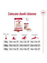 ROYAL CANIN®   Medium Adult 14,6 kg karma sucha dla psów dorosłych ras średnich, do 7 roku życia / Opakowanie uszkodzone (9529) !!!