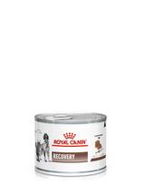 ROYAL CANIN Recovery 195g puszka