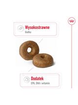 ROYAL CANIN Maxi Ageing 8+ 14,4kg karma sucha dla psów dojrzałych, po 8 roku życia, ras dużych / 14,4kg / Opakowanie uszkodzone (6930,9562) !!!
