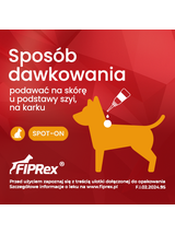 Fiprex S, 75 mg/ml, roztwór do nakrapiania dla psów (3szt)