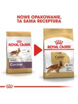 ROYAL CANIN Cocker Spaniel Adult 12kg karma sucha dla psów dorosłych rasy cocker spaniel + niespodzianka dla psa GRATIS!
