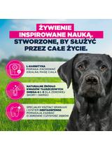 EUKANUBA Mature Large Breeds Kurczak 15 kg