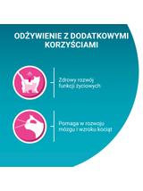 Purina One Junior Karma dla kociąt z łososiem i marchewką 85g