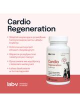 Lab-v Cardio Regeneration – Wsparcie prawidłowego funkcjonowania pracy serca i układu krążenia dla psów i kotów 45 kapsułek