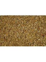 TETRA  Anchovies opak. 1l