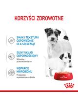 ROYAL CANIN Starter Mousse Mother & Babydog 12x195g karma mokra - mus, dla suk w czasie ciąży, laktacji oraz szczeniąt