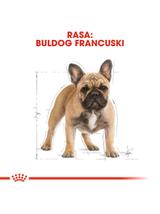 ROYAL CANIN French Bulldog Adult 3kg karma sucha dla psów dorosłych rasy bulldog francuski + 	NIESPODZIANKA DLA PSA GRATIS!!!