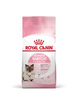 ROYAL CANIN  Mother&Babycat 4kg karma sucha dla kotek w okresie ciąży, laktacji i kociąt od 1 do 4 miesiąca życia + Royal Canin piłka dla kota GRATIS!!
