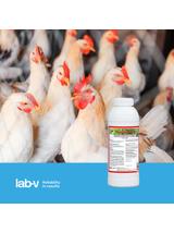 Lab-v Hepasil Vet Dla Drobiu - Mieszanka Paszowa Dla Drobiu Na Poprawę Funkcjonowania Wątroby 1kg