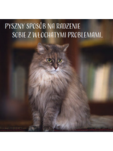 JOSERA Catelux 400g + niespodzianka dla kota GRATIS!