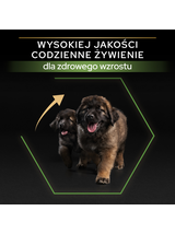 PRO PLAN Healthy Start Large Robust Puppy Karma dla szczeniąt bogata w kurczaka 12kg