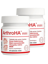 Dolfos ArthroHA mini  - preparat wspomagający leczenie schorzeń stawów 2x40 tab.
