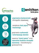 VETOQUINOL Caniviton Forte Plus - Karma Uzupełniająca Dla Psów 90tab