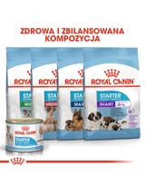 ROYAL CANIN Starter Mousse Mother & Babydog 6x195g karma mokra - mus, dla suk w czasie ciąży, laktacji oraz szczeniąt