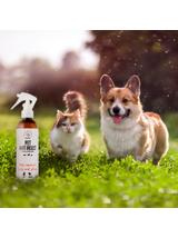 PETS ANTI INSECT - skuteczna ochrona przeciw kleszczom, pchłom oraz innym owadom 250ml