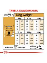 ROYAL CANIN French Bulldog Adult 3kg karma sucha dla psów dorosłych rasy bulldog francuski