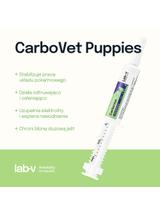 Lab-v CarboVet Puppies - Preparat stosowany podczas zatruć dla szczeniąt 10 ml