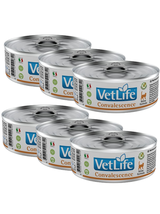 Farmina Vet Life Convalescence Cat 6x85g
