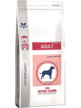 ROYAL CANIN Adult Medium Dog 4kg + NIESPODZIANKA DLA PSA GRATIS!!