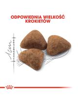 ROYAL CANIN  Indoor 27 10kg karma sucha dla kotów dorosłych, przebywających wyłącznie w domu + niespodzianka dla kota GRATIS!