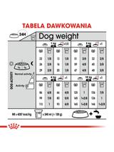 ROYAL CANIN CCN Mini Digestive Care 1kg karma sucha dla psów dorosłych, ras  małych o wrażliwym przewodzie pokarmowym