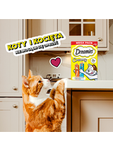 DREAMIES Creamy z kurczakiem i z łososiem 12x10g