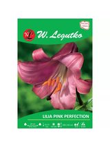 Lilia Pink Perfection różowa 1szt.