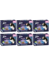 FELIX Fantastic Junior w galaretce; 72x85g