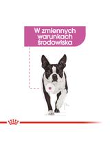 ROYAL CANIN CCN Mini Relax Care 8kg + niespodzianka dla psa GRATIS!