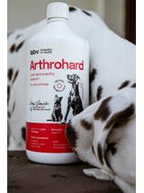 Lab-v Arthrohard 1000ml Preparat na wsparcie stawów dla psa i kota