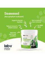 Lab-v Algi Morskie – naturalne źródło jodu i minerałów dla psów i kotów 250g