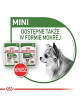 ROYAL CANIN Mini Ageing 12+ 1,5kg karma sucha dla psów dojrzałych po 12 roku życia, ras małych + niespodzianka dla psa GRATIS