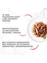 GOURMET mon Petit Pokarm dla kotów - MIX Rybny 48x50g