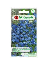 Lobelia przylądkowa, Stroiczka - niebieska