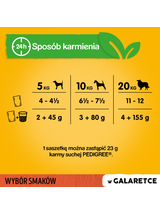 PEDIGREE Adult saszetka 12x100 g - Wybór Smaków w Galaretce, mokra karma pełnoporcjowa w galaretce dla dorosłych psów (kawałki bogate w mieszankę wołowiny i wątróbki, bogate w kurczaka, bogate w mieszankę jagnięciny i wątróbki oraz bogate w drób)