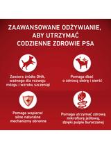 PURINA ONE Junior Medium/Maxi Karma dla szczeniąt bogata w kurczaka z ryżem 7 kg