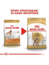 ROYAL CANIN Poodle Adult 1,5kg karma sucha dla psów dorosłych rasy pudel miniaturowy/ opakowanie uszkodzone (7157)!!!!